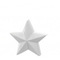 Gwiazda 12cm  - 1