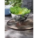 Cedzak Gourmet 24cm - 5