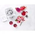 Enfinigy Pro 1.8L High-Performance Blender - 27