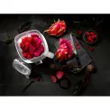Enfinigy 1.4L Chalice Blender - 17