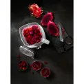 Enfinigy 1.4L Chalice Blender - 20
