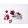 Enfinigy 1.4L Chalice Blender - 26