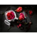 Enfinigy 1.4L Chalice Blender - 24