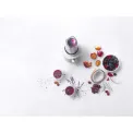 Enfinigy 550ml Cocktail Blender - 10