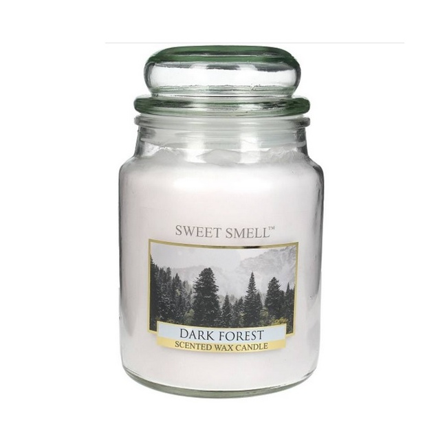 Dark Forest Candle 80h - 1