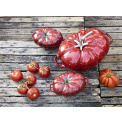 Garnek żeliwny Cocotte Pomidor 25cm 2,5l - 10