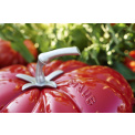 Garnek żeliwny Cocotte Pomidor 25cm 2,5l - 6