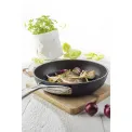 Alu Pro Pan 24cm with Titanium Coating - 10