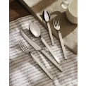Salad Serving Set Dry - 2