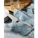 Amici Cake Server - 4