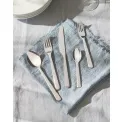 Amici Cake Server - 3