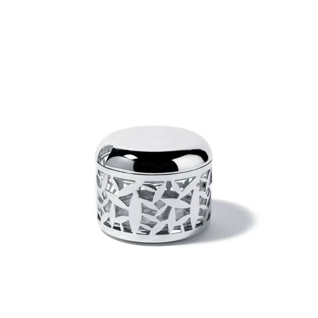 Cactus Container for Cheese Shavings - 1