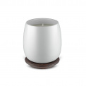 Small Scented Candle Brrr - 5
