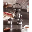 Teapot / Tea Kettle - 5