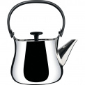 Teapot / Tea Kettle - 1
