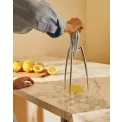 Wyciskacz Juicy Salif do cytryn - 2