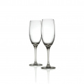 Set of 4 Mami Champagne Glasses - 3