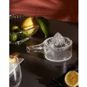Citrus Citrus Juicer - 3