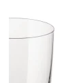 Glass Family 250ml White Wine Glass - 3