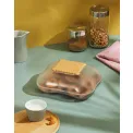 Mary Biscuit Cookie Jar Semi-Transparent - 3
