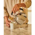 Kettle 2L with Brass Whistle - 2