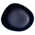 Organic Dark Blue 20cm Deep Plate - 1