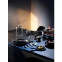 Kineo Pro Cutlery Set 66 pieces (for 12 people) - 8
