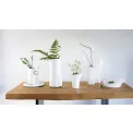 Bowl Float 32.5cm - 3