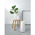 Bowl Float 32.5cm - 5