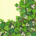 Napkins 33x33cm Feuille Vert 20 pieces