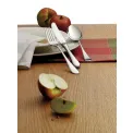 Kent Cutlery Set 30 pieces (6 people) - 7