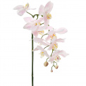 Orchidea 75cm - 1