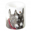 Pips and Grey Candle 9x10cm - 1