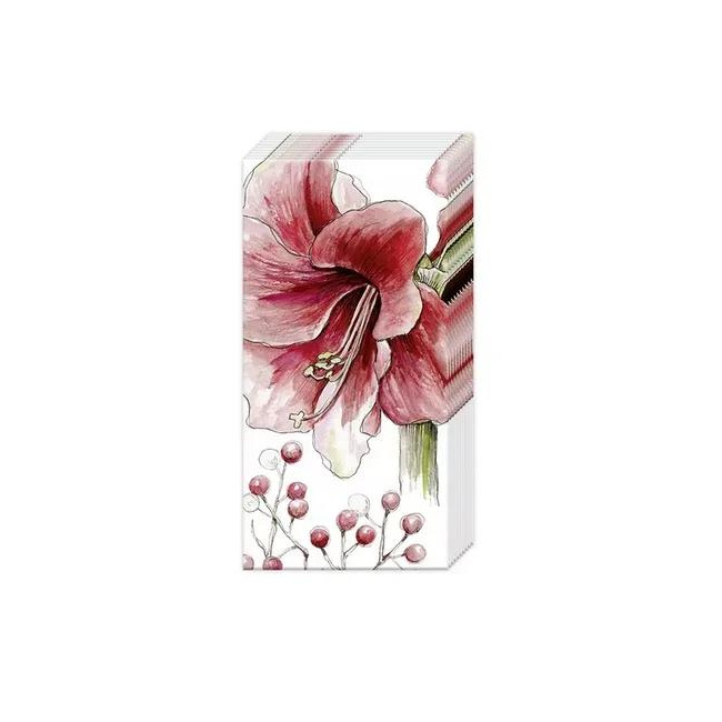 Amaryllis Tissues 21x21cm 10pcs.