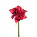 Kwiat Amarylis 65cm - 1