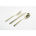 Champagne Linear Serving Spoon PVD Champagne - 4