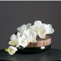 White Orchid 85cm - 2
