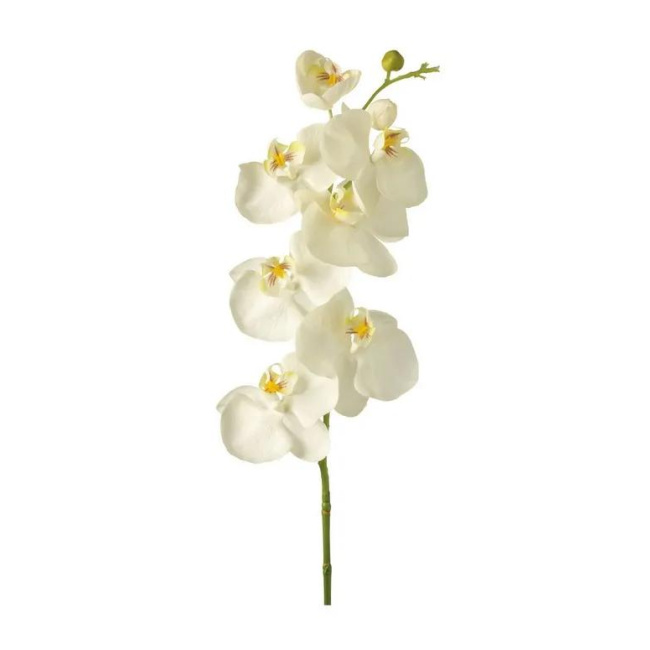 White Orchid 85cm
