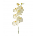 White Orchid 85cm - 1