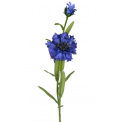 Kwiat Chaber 58cm - 1