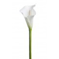 Kwiat kalia 35cm - 1
