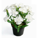 Carnation Flower 20cm - 1