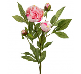 Kwiat Peonia 65cm