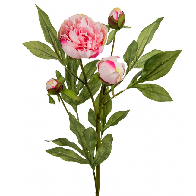 Kwiat Peonia 65cm - 1