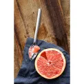 Set of 2 Nuova Grapefruit Spoons - 2