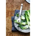 Nuova Universal Tongs - 3