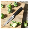 Four Star Knife 10cm for Vegetables and Fruits - 7