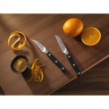 Pro Paring Knife 7cm for Vegetables - 4