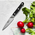 Pro Paring Knife 10cm for Vegetables and Fruits - 2
