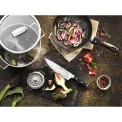 Pro Chef's Knife 26cm - 9
